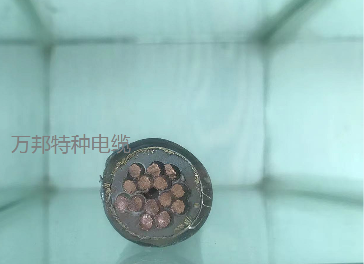 16535525595053.png 1647743485(1).png