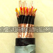 DJYP2V（R）P2計(jì)算機(jī)用屏蔽電纜（包括DCS電纜）