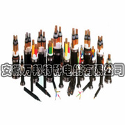 聚氯乙烯絕緣及護(hù)套控制電線(xiàn)電纜