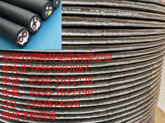 ZB-DJVP2VP2/22運(yùn)城計算機(jī)電纜用 詳細(xì)信息